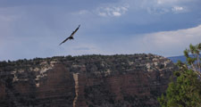 Photos of the Grand Canyon