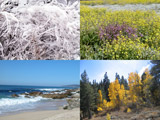 Four Seasons, composite photo