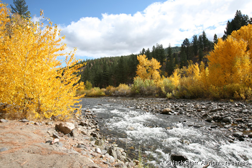 The Carson River with trees in fall colors along the banks