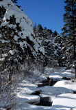 Photo of snowy creek in the Sierras